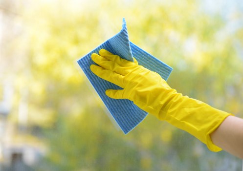 Professional carpet cleaner working on a residential carpet in Queens Park