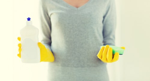 Technician performing professional sofa cleaning on a living room couch