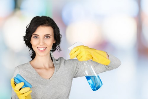 Professional upholstery cleaning for leather and fabric seating