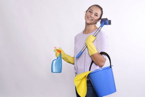 Professional deep cleaning for persistent pet urine odour in Queens Park